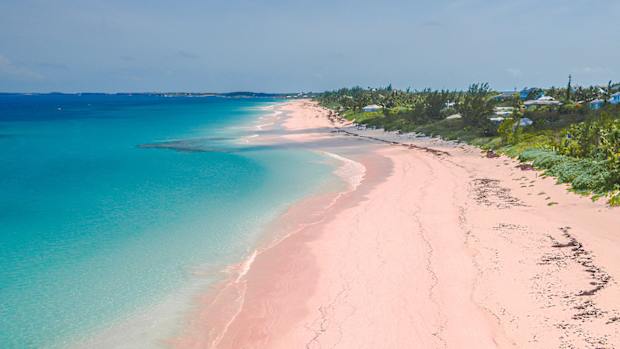 bahamas lead